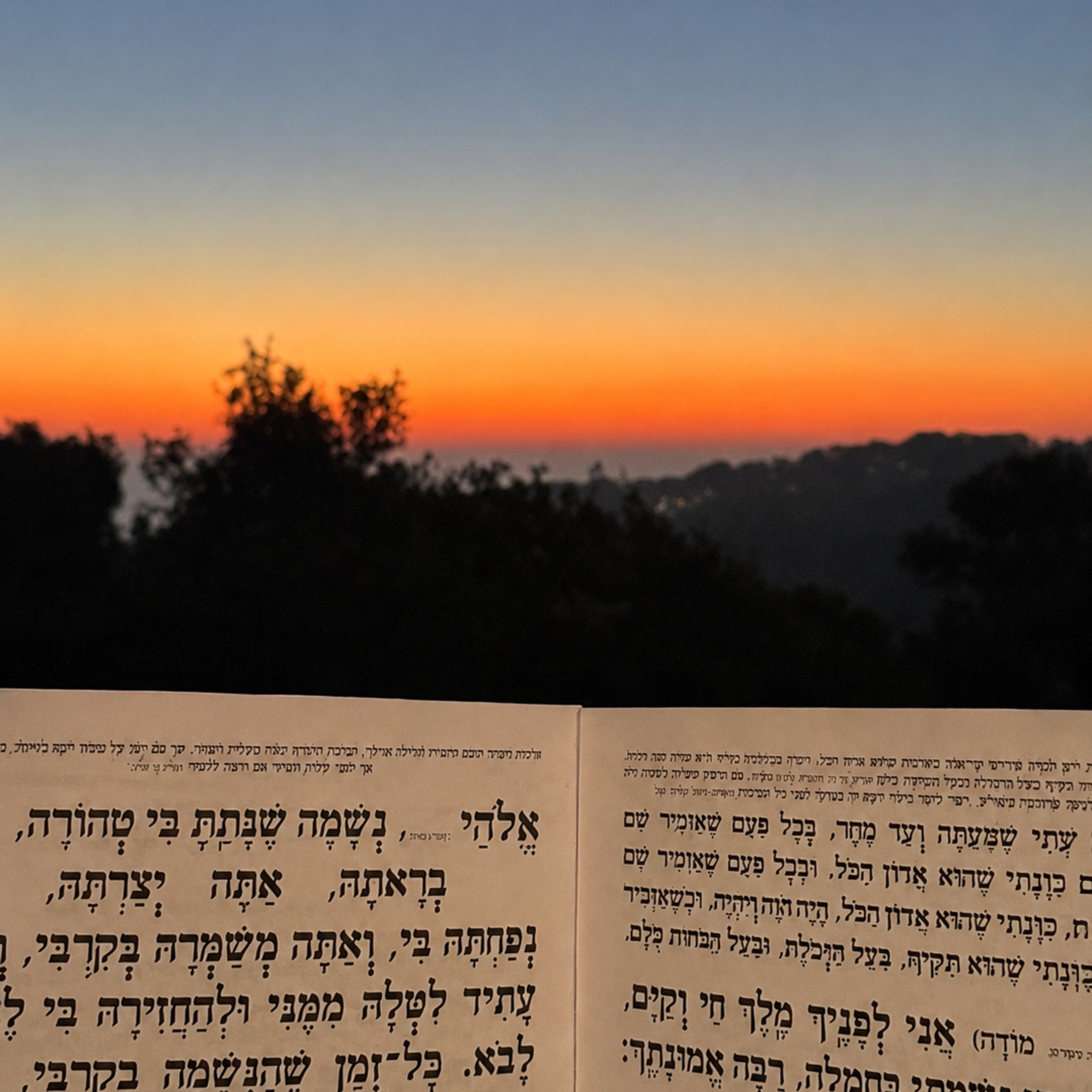 "הקללה שלי היא הברכה שלי"
