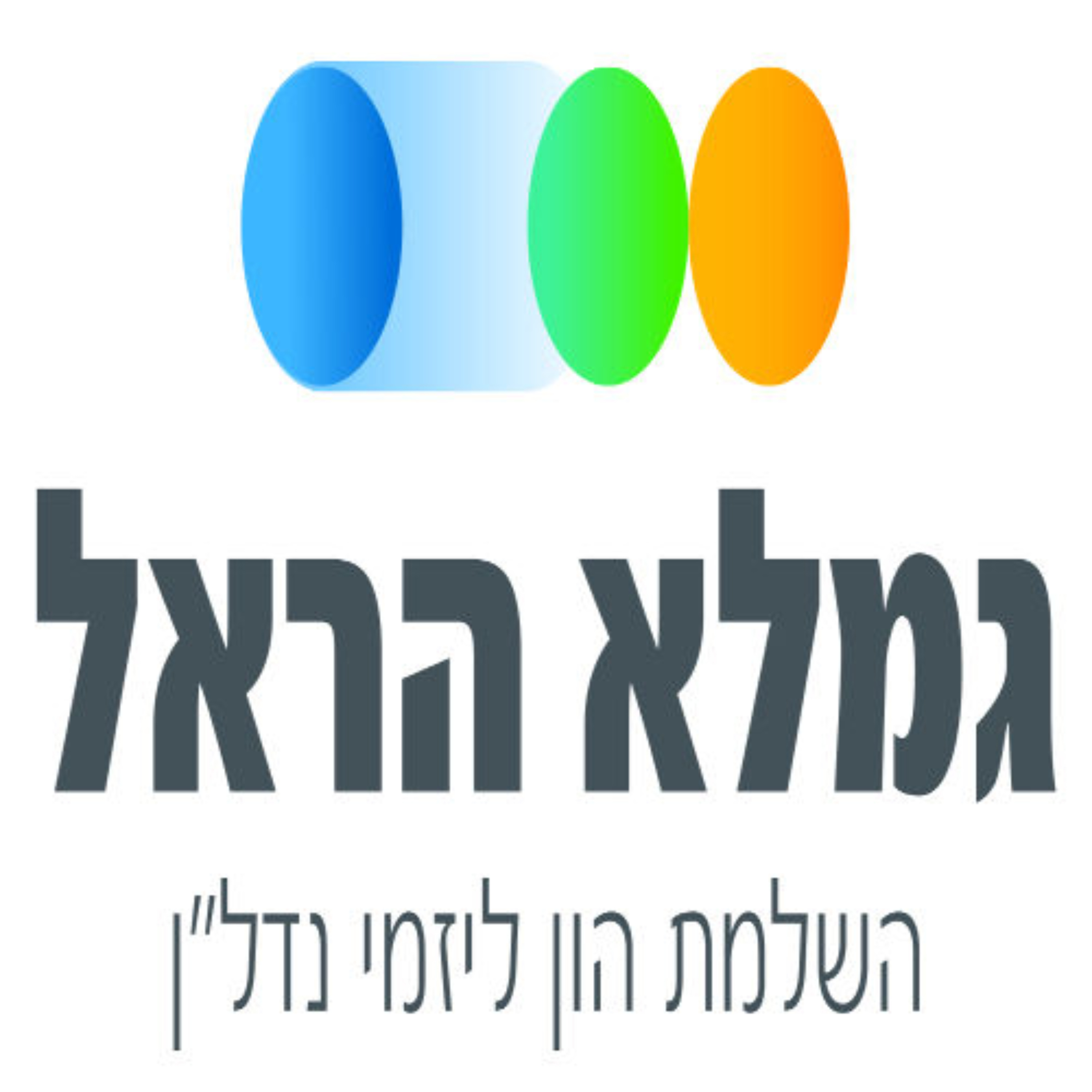 בונים בניינים -טל תפוחי-גמלא הראל 